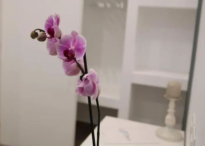 Couette-café Essence